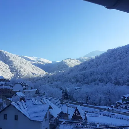 Std Cvetkovic Crni Vrh