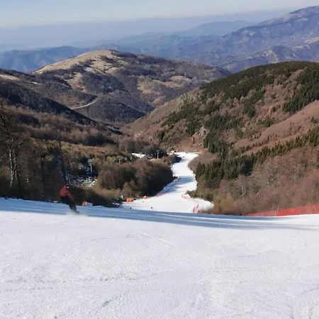 Std Cvetkovic ベッド・アンド・ブレックファスト Crni Vrh