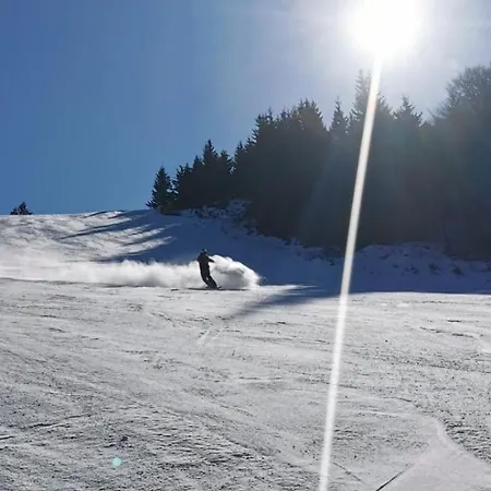 ベッド・アンド・ブレックファスト Std Cvetkovic