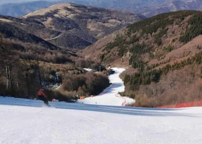 Std Cvetkovic فندق مبيت وإفطار Crni Vrh