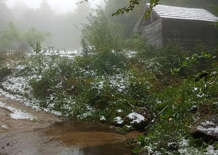 فندق مبيت وإفطار Std Cvetkovic Crni Vrh