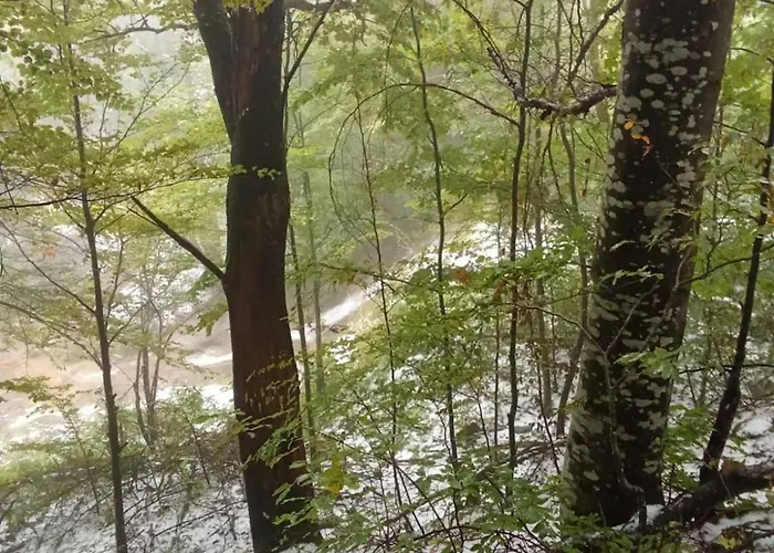 Std Cvetkovic فندق مبيت وإفطار *